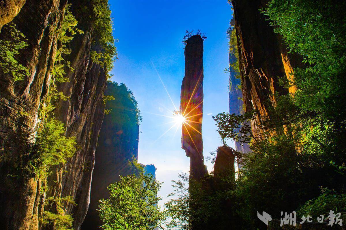 u乐平台地址